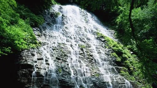 稳定性高标准稳定性